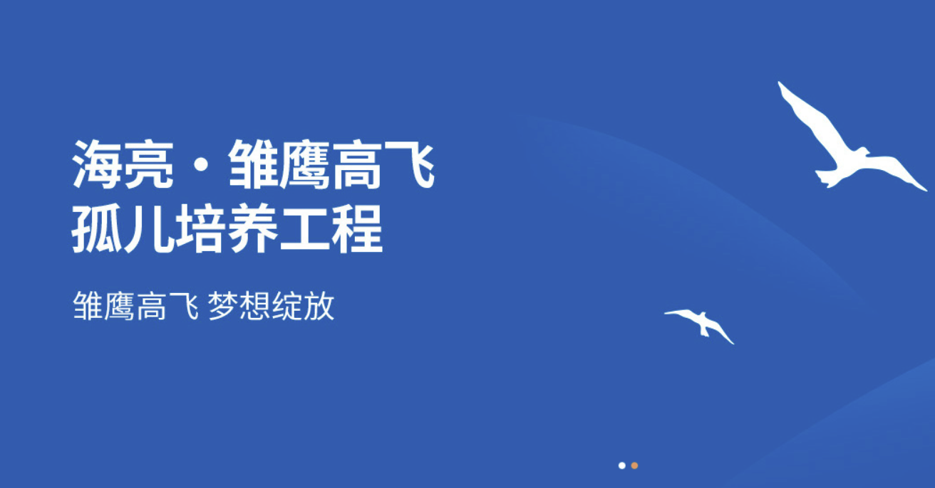 雛鷹高飛.png